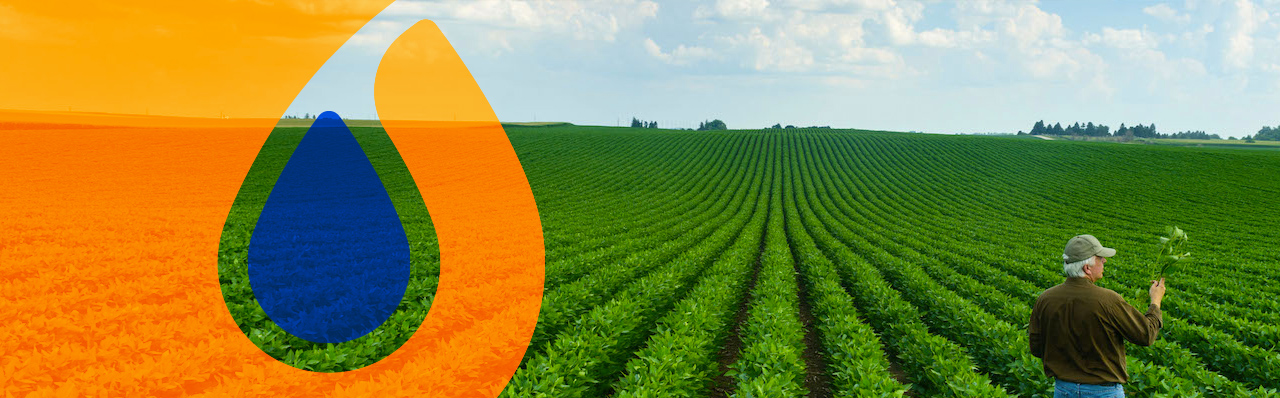 Lo mejor de los campos para su ganado